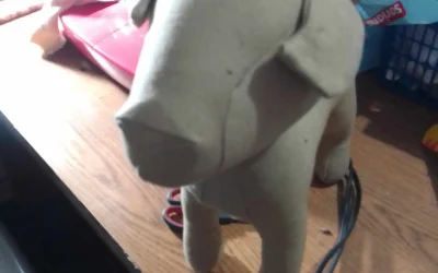 Cómo Hacer un Maniquí para Perros con el Molde Dizoo: Guía Completa