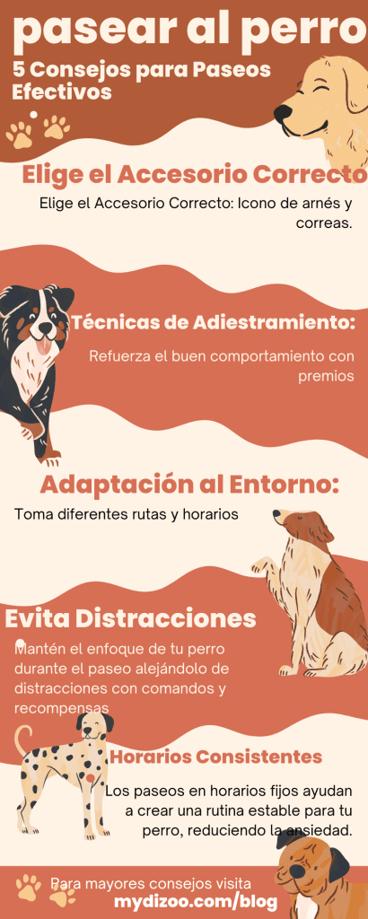 infografia pasear al perro de forma efectiva  5 consejos  para paseo de perros efectivos 