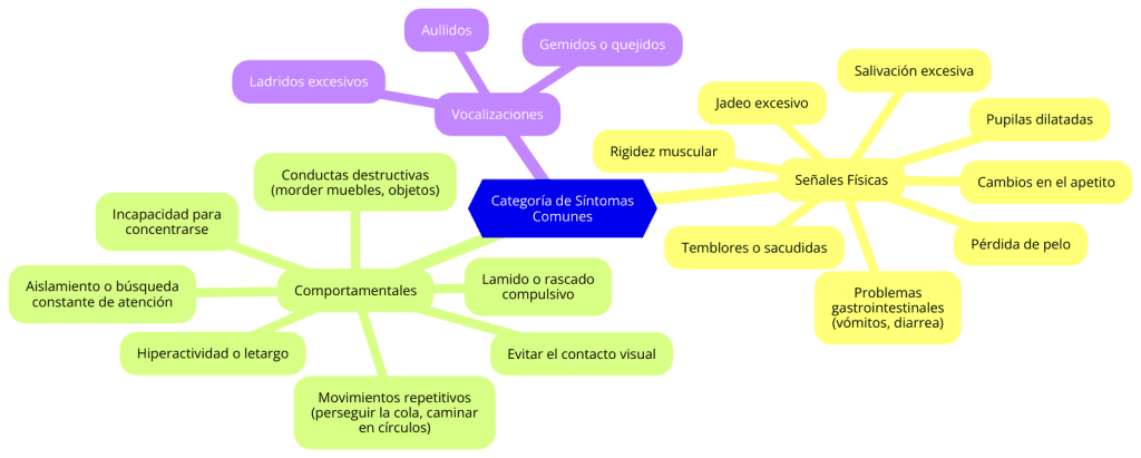 categoria de sintomas comunes de estres en perros